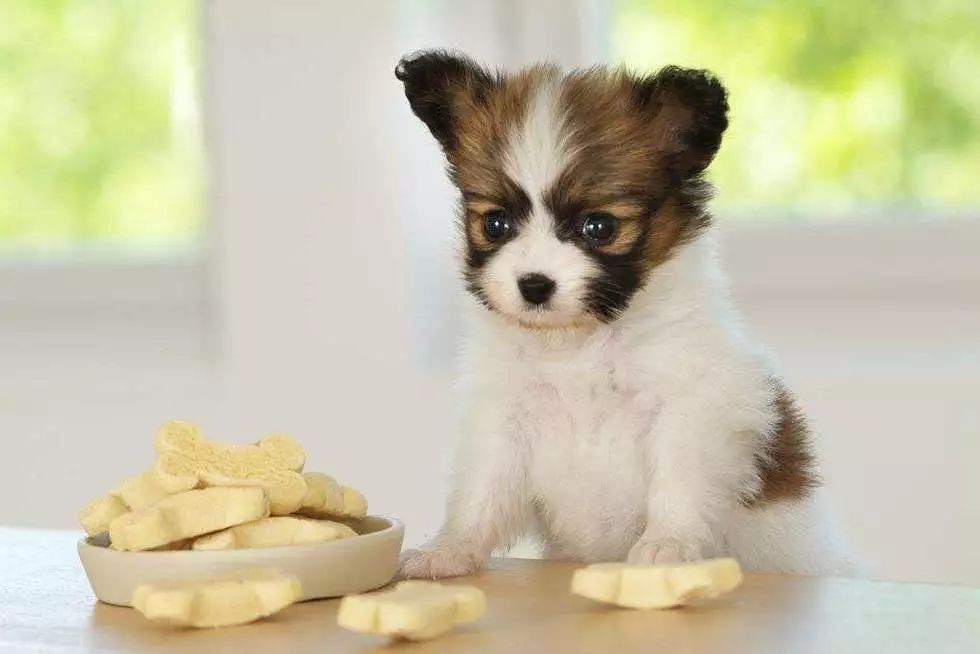 1546929757907878.jpg 9.jpg